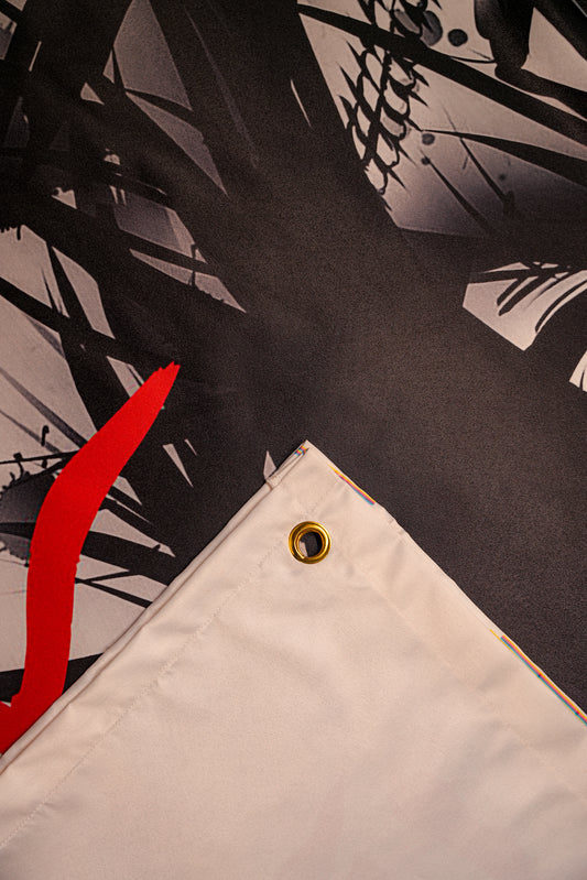 Attack On Titan - draps.pk